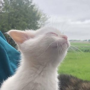 Meet your Posher, Joanna